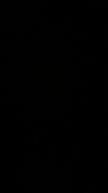 Racial remarks from Joe Biden