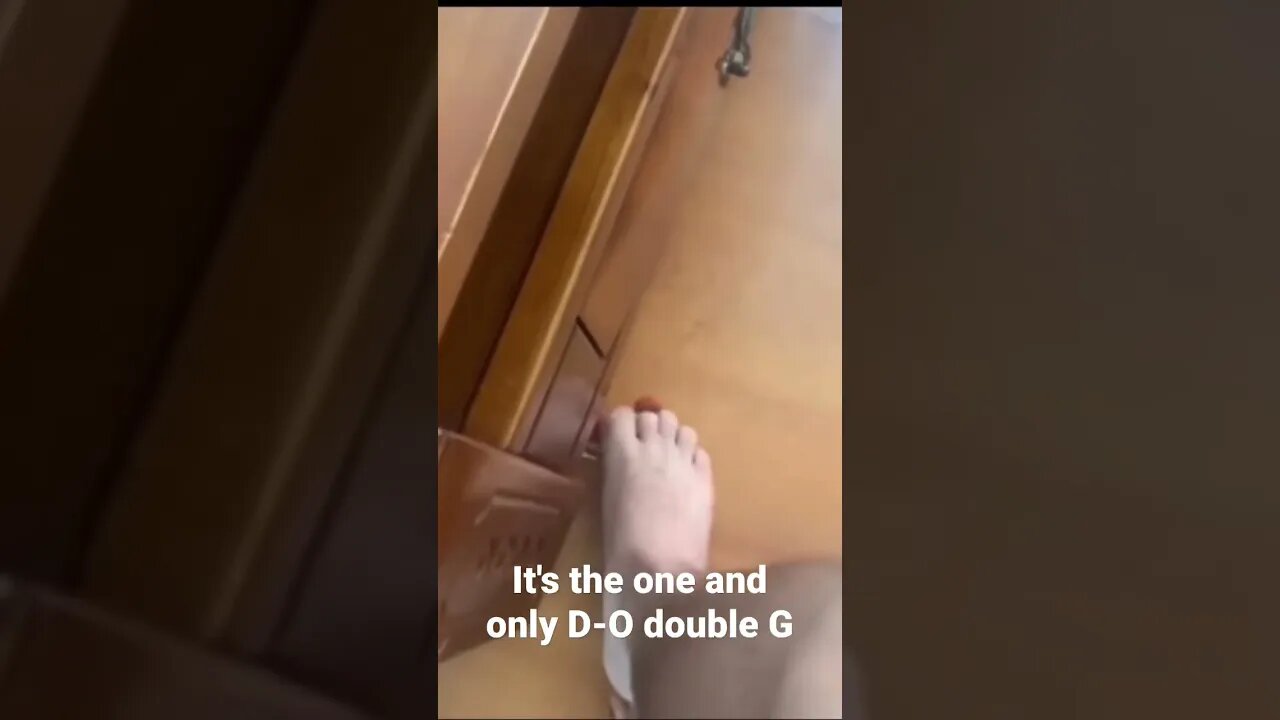 MEME is the one and only D-O double G #shorts