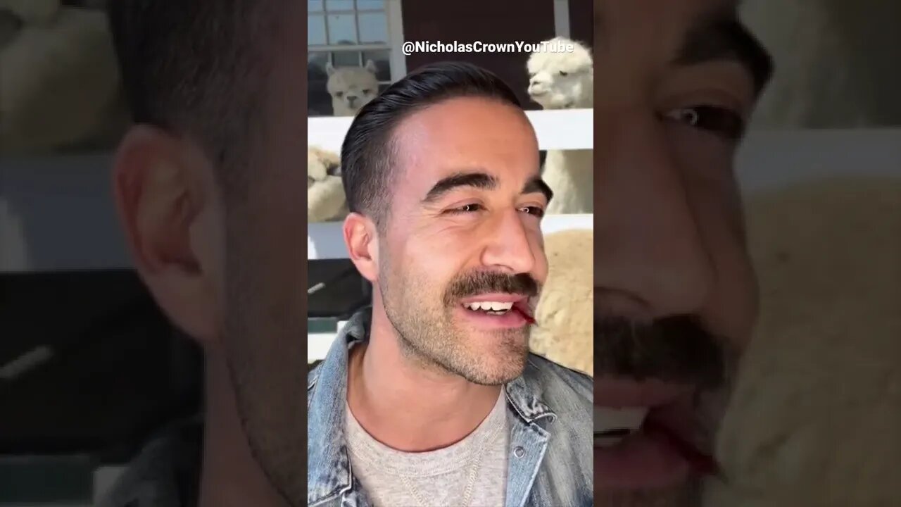 How rich people vs really rich people treat the alpaca farmer.