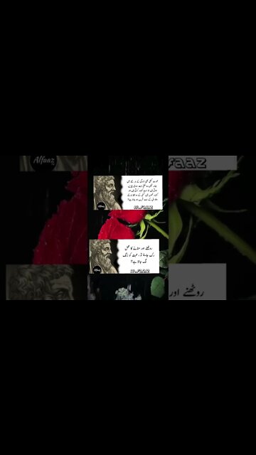 Respect 🔥🔥🔥🔥#respect #vrial #amazing #illusion #foru #wow #crazy #xyzbca #respekt OMG😱 #moments