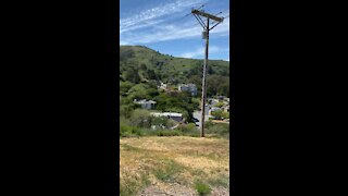 Beautiful day in Sausalito California￼