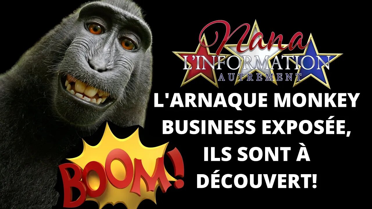 Nana l'information Autrement - MONKEY BUSINESS - TOUT EST LÀ!