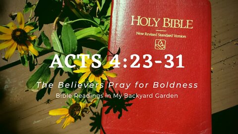 ACTS 4:23-31 (The Believers Pray for Boldness)