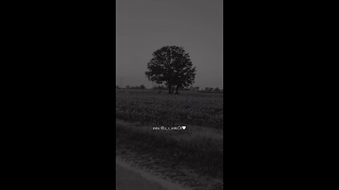 kadi takre te hall sunams Nusrat Fateh Ali Khan short kawali