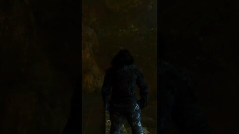 Show this to any of your Ark fans that also like fantasy and dwarves. #arksurvivalascended #shorts
