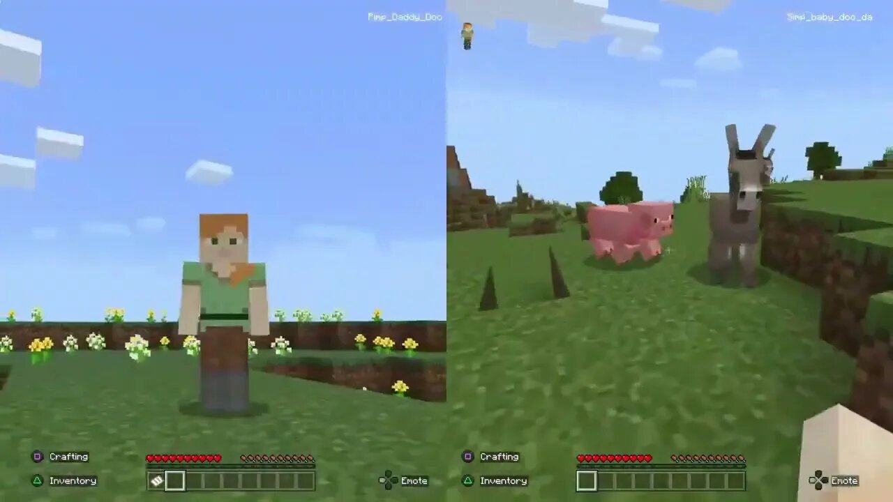 Who will die first? Minecraft (Shortened)