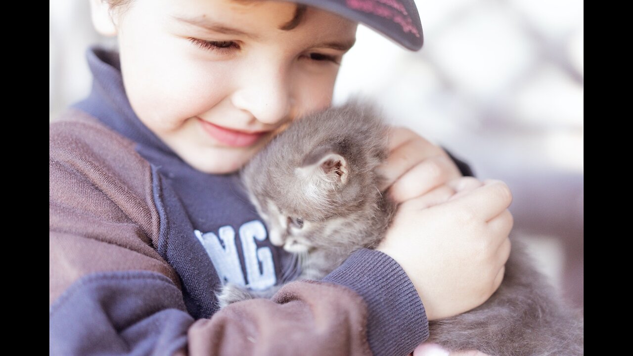 Cutest Babies Play With Dogs And Cats Compilation || Coll Peachy