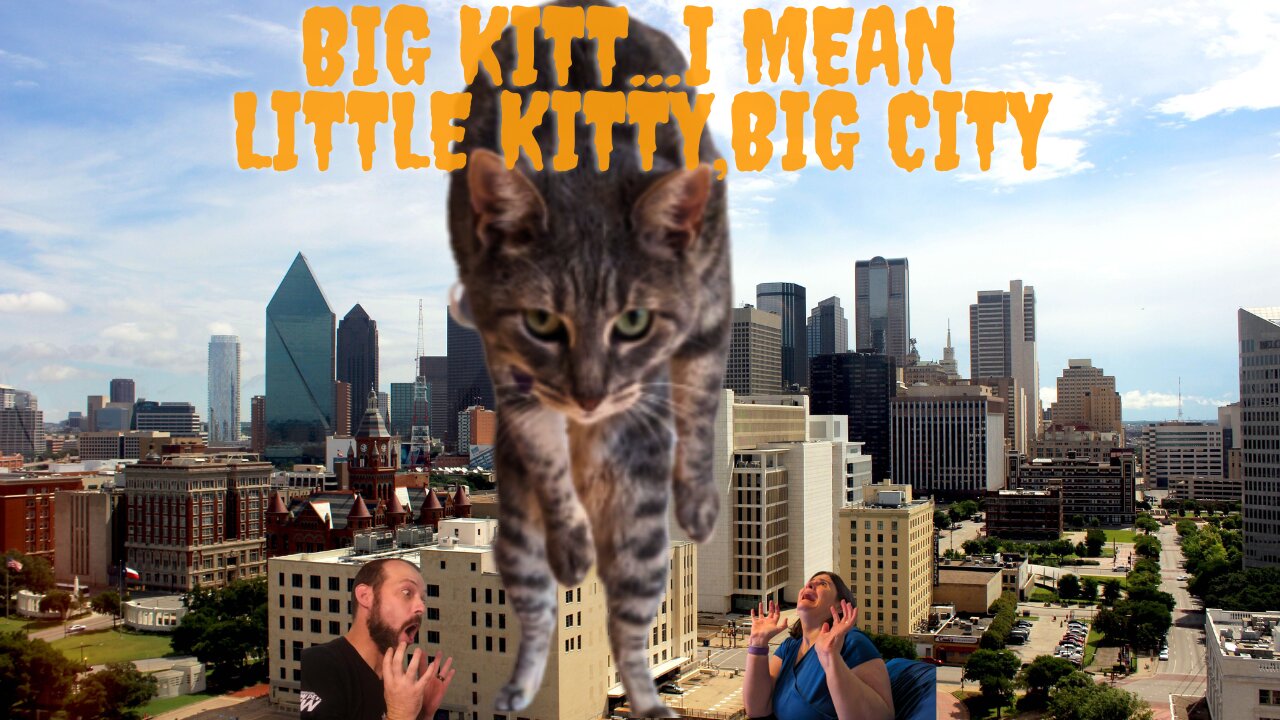 Little Kitty Big City | Married Gamers Edition