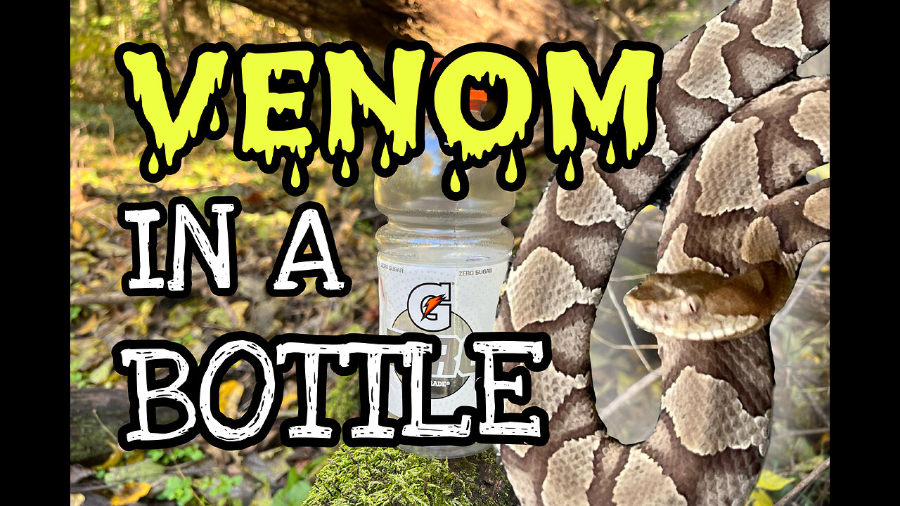 Venom in a Bottle