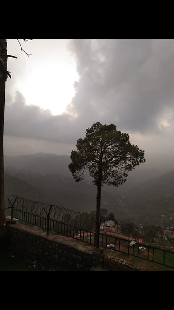 Very cute and beautiful