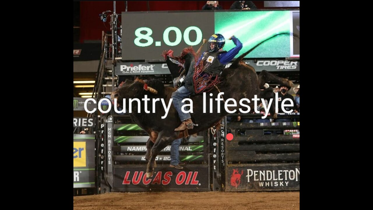 the best in the world bull riding