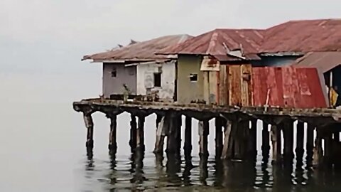 Oyster Breeding racks #philippines