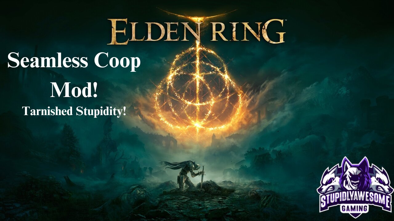 Tarnished Stupidity! ( Elden Ring Seamless Coop Mod!)