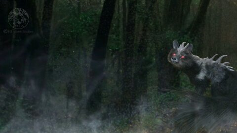 Land of Veil Claw - Meet the North Forest Wolf Dragons
