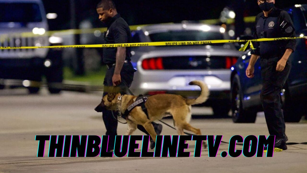 BODYCAM: Stolen Vehicle Suspect Face First In The Swamp, K9 Assist
