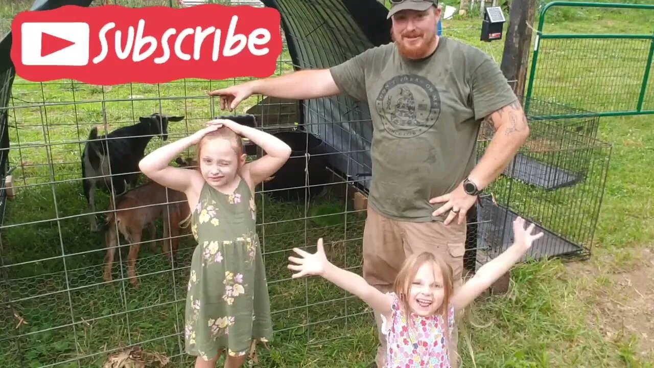 We are goat farmers now. First time with kinder goats