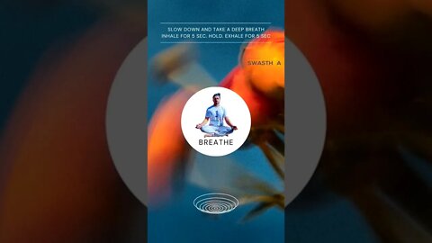 Mindful Breathing Exercise #breathing #shorts #meditation #yoga