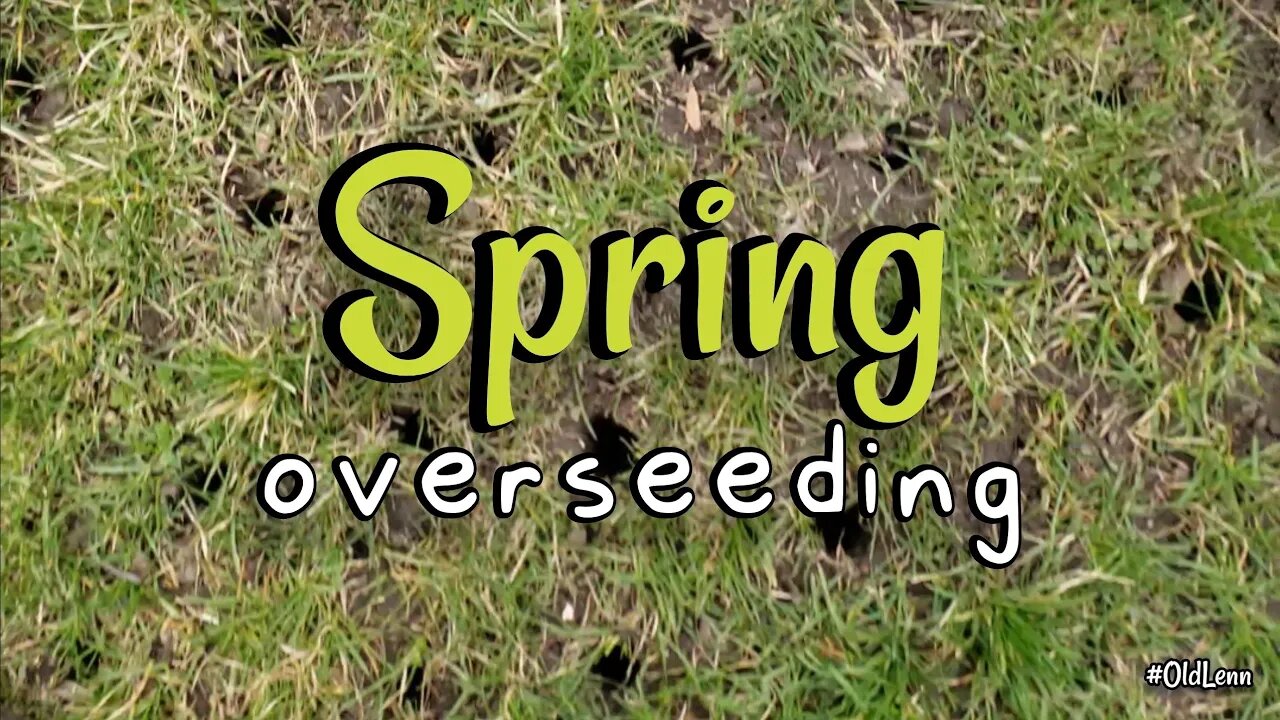 SPRING OVERSEEDING