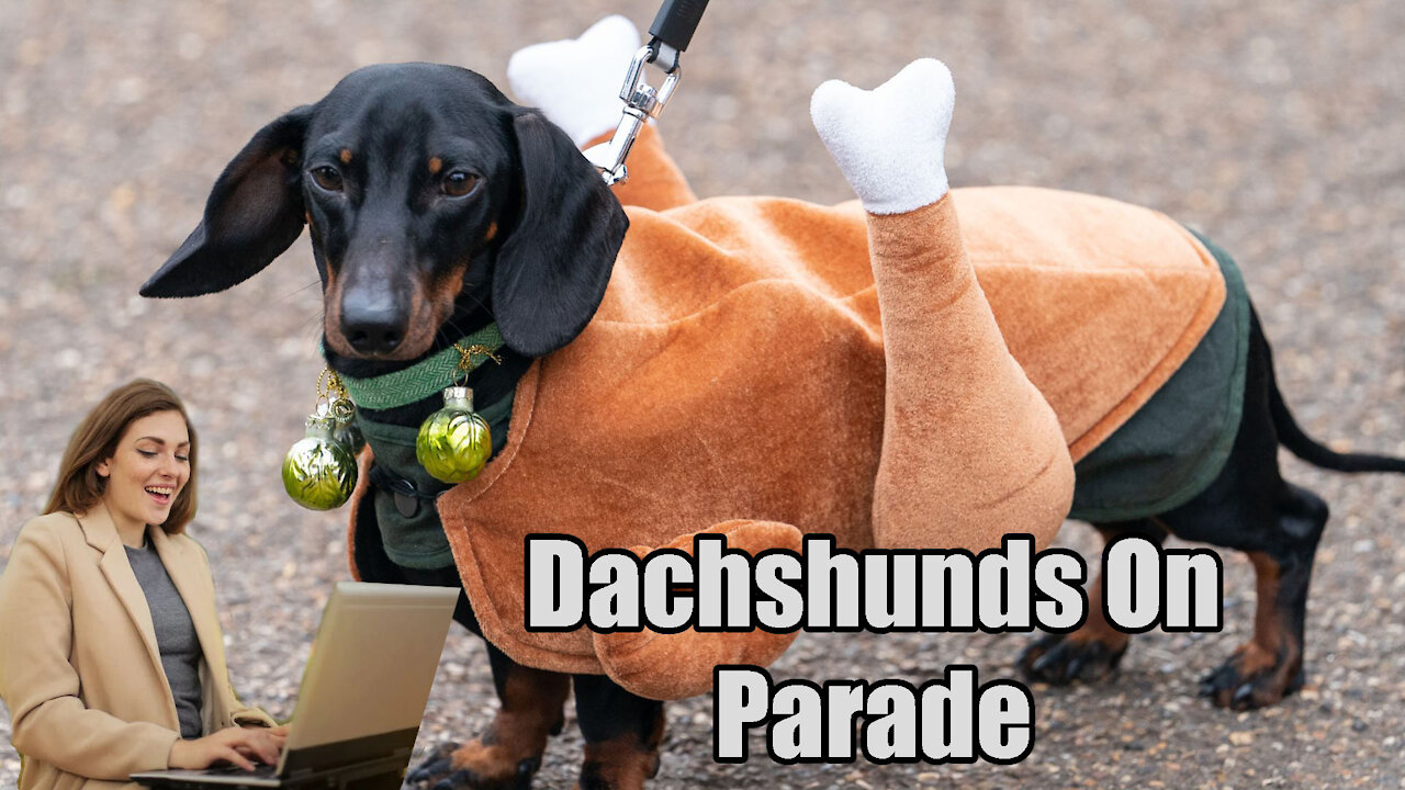 British Dachshund's🐶 Enjoy Annual Christmas Fancy Dress🎩 Walk at Hyde Park