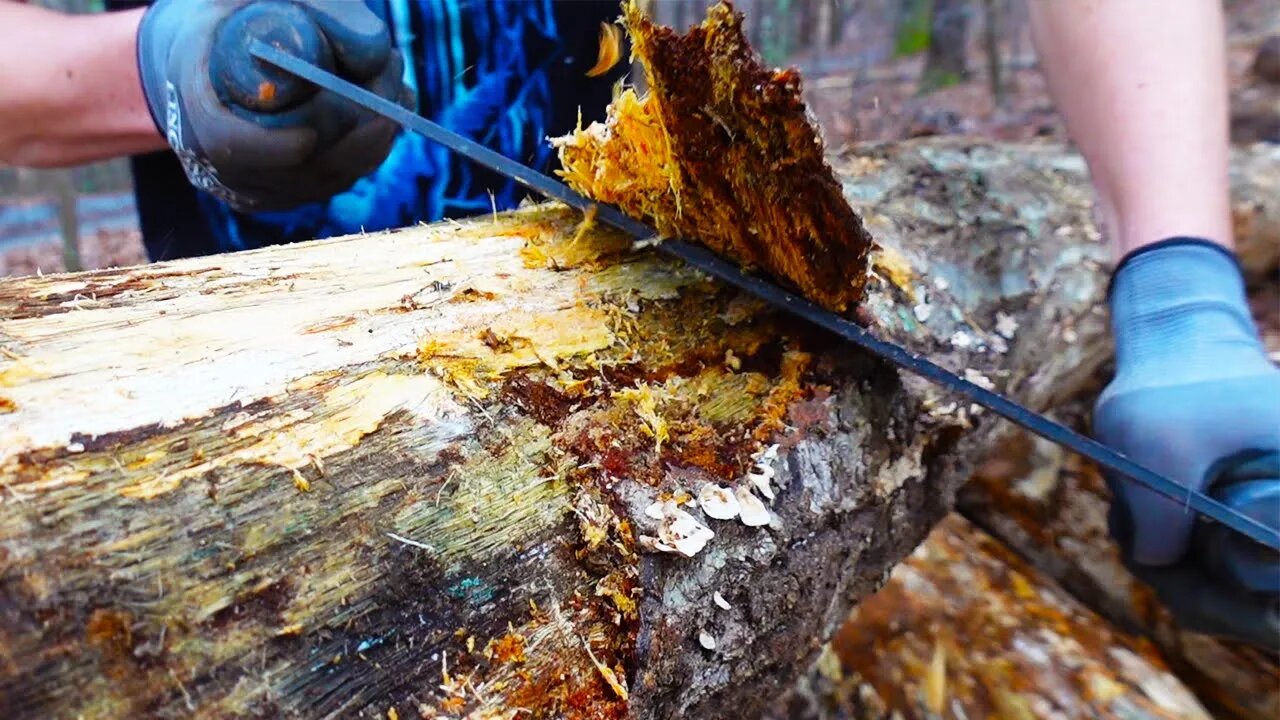 Debarking trees is SO Satisfying!