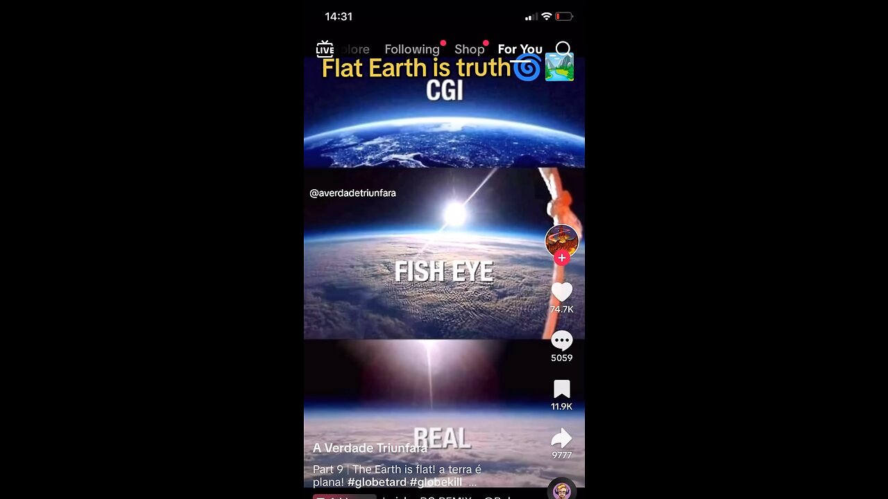 Is the earth a ball or is it flat? You decide