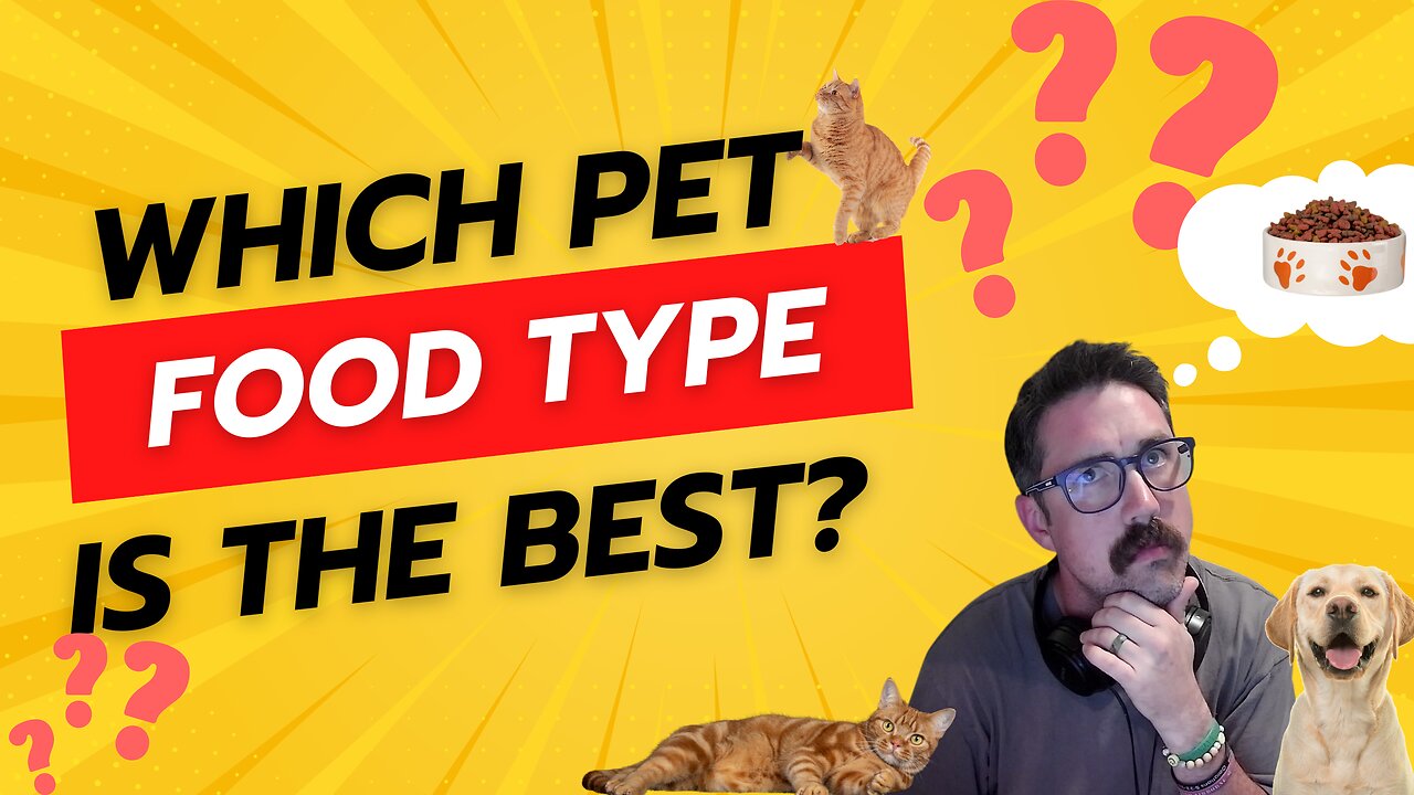 Healing Your Pet #2: What Type of Pet Food is Best?