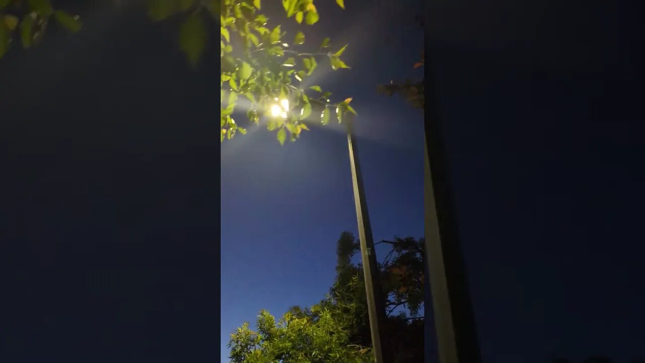 Sensor Lights At Sunset