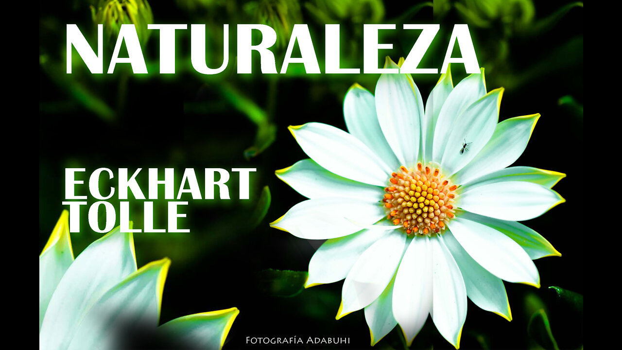 Eckhart Tolle - NATURALEZA - Narrado por Yolanda Adabuhi en castellano