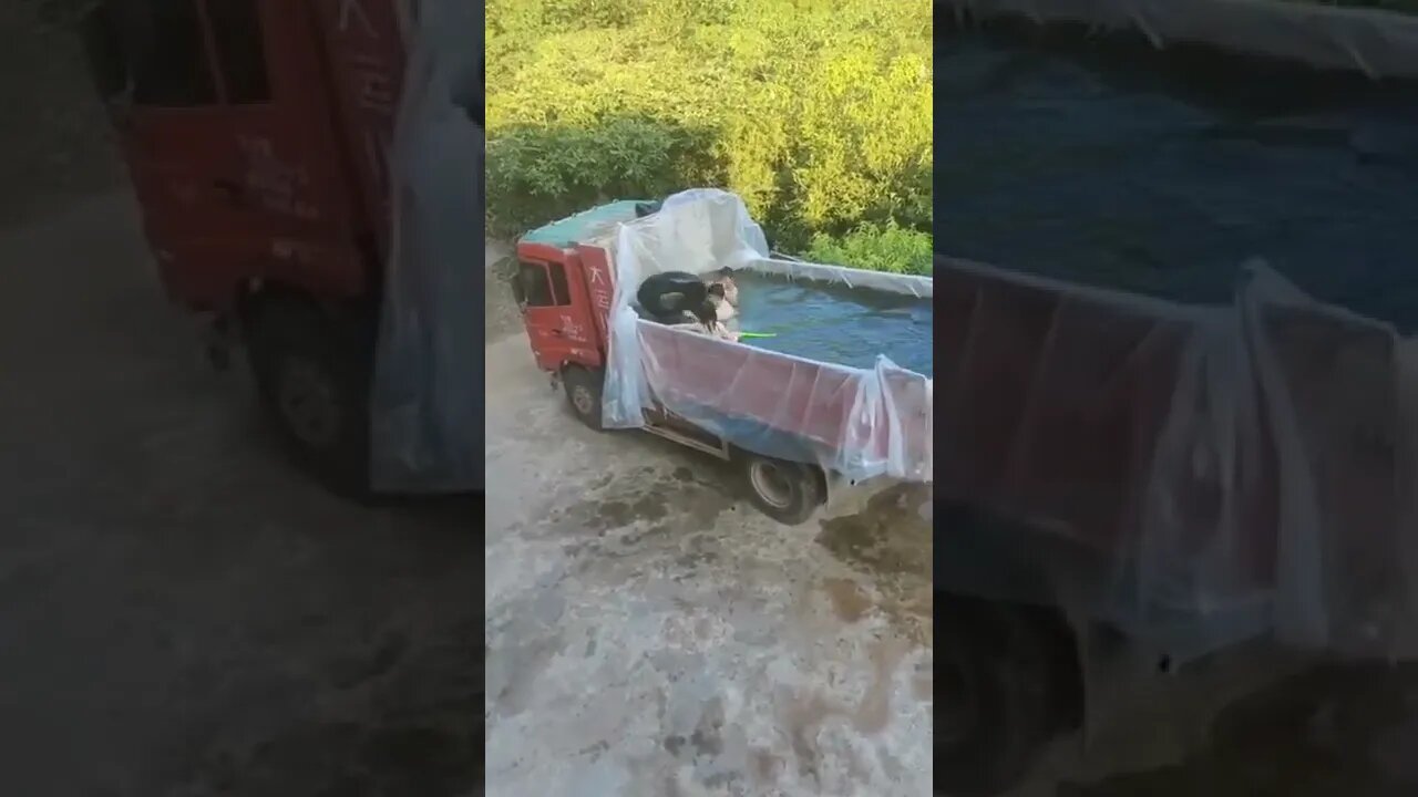 Proper use of the truck 🚒😁