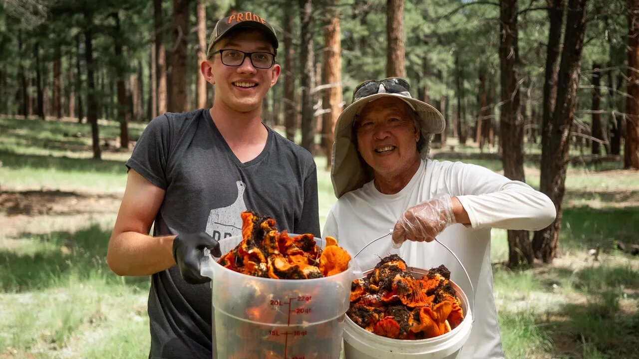 Foraging GIGANTIC Lobster Mushrooms | Proof Bread