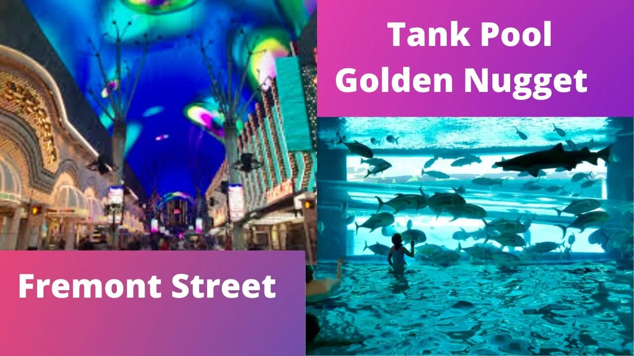 Fremont Street And Tank Pool Golden Nugget Las Vegas