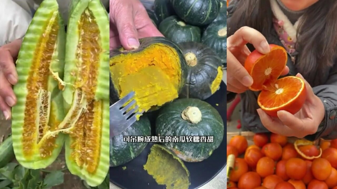 Presentation fruit in Farm , Eat fresh fruit on trees