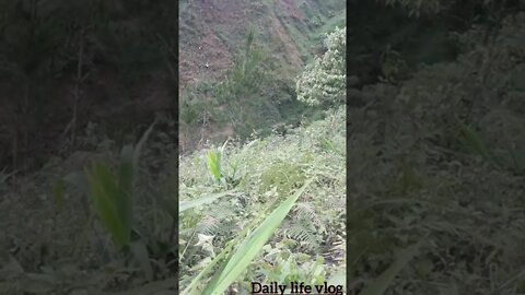 The beauty of the mountains and hills