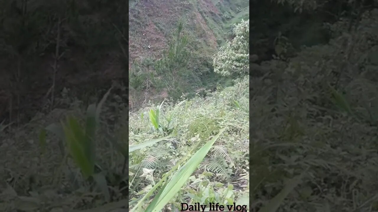 The beauty of the mountains and hills