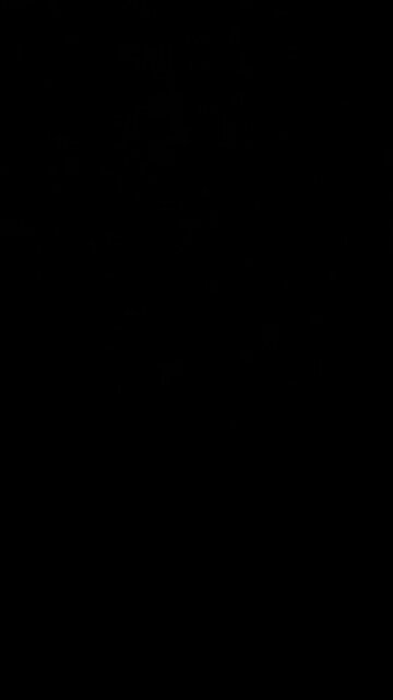 Stop and shop closing