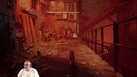 Stray EP 8 Dead End and the start of the Sewers