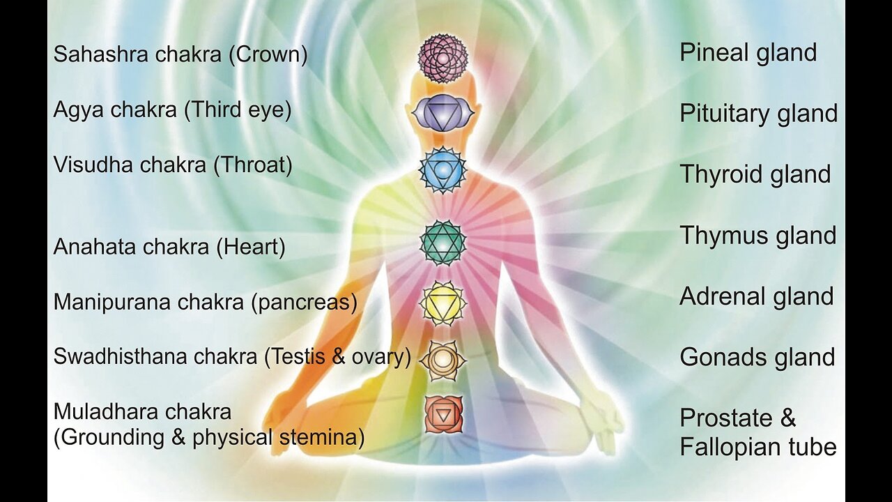 Structure of the 13 Moon Calendar Dreamspell Calendar Explained Seven Chakras