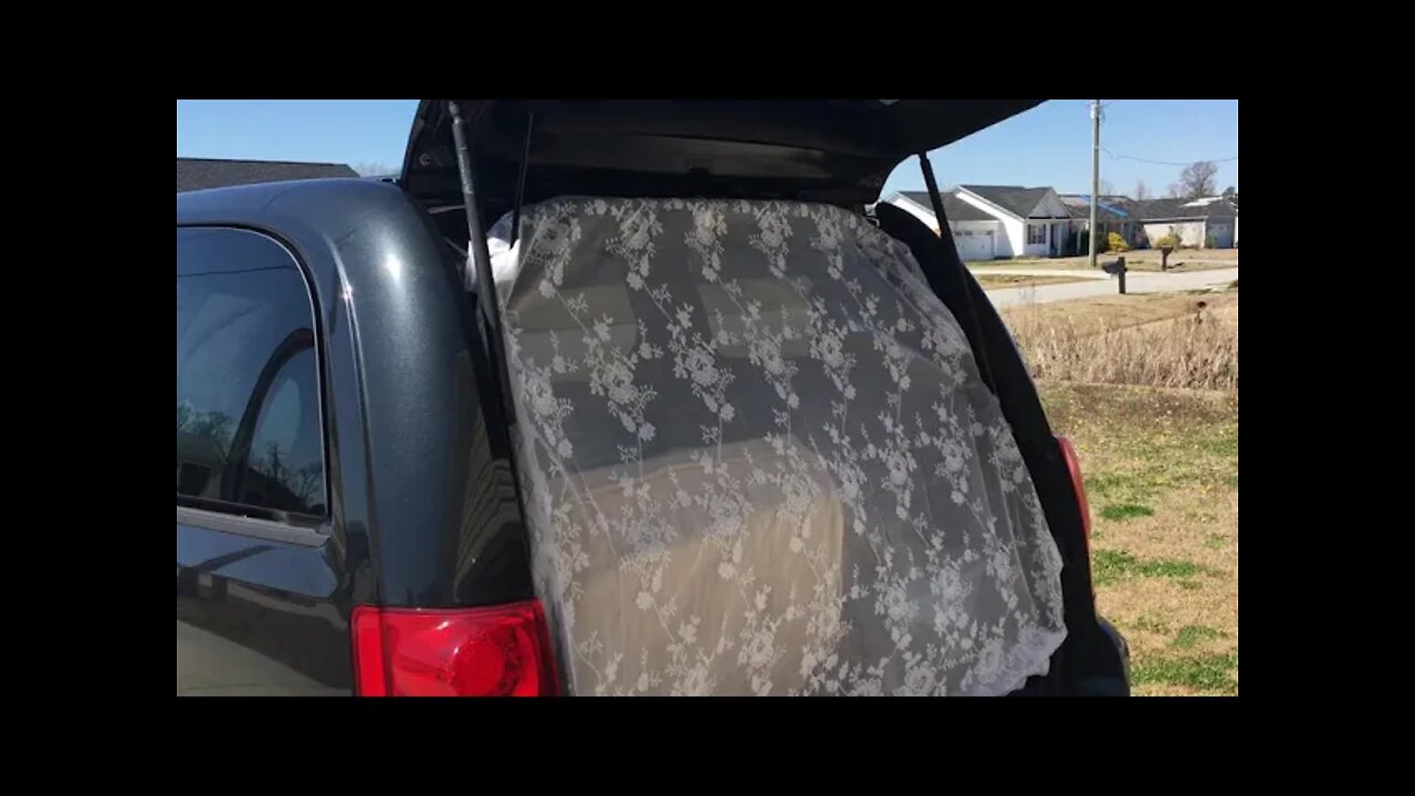 Keep Flying Bugs Out | 2016 Dodge Grand Caravan