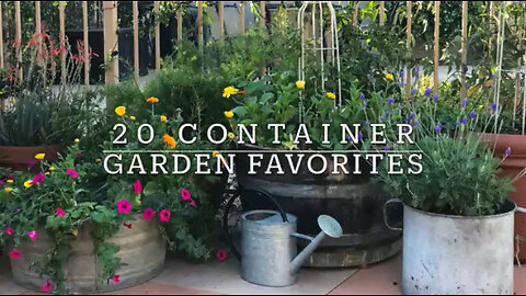 20 BEST Vegetables, Fruits & Herbs for CONTAINER GARDENING