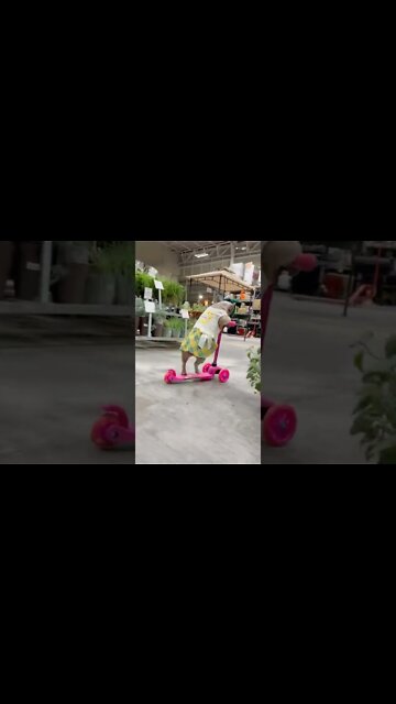 QUANDO GANHO PRESENTE E VOU FAZER INVEJA PRO OUTROS