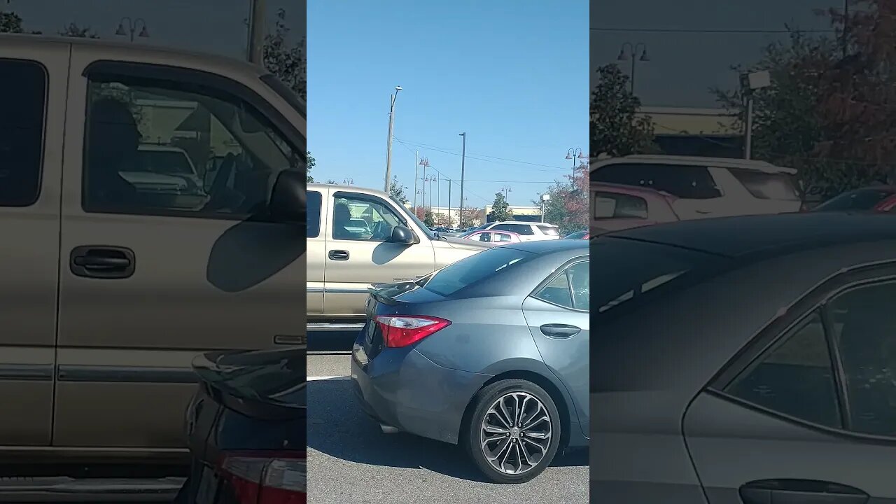 Gang Stalking Perp Walk 12/02/2021 Pt. 1