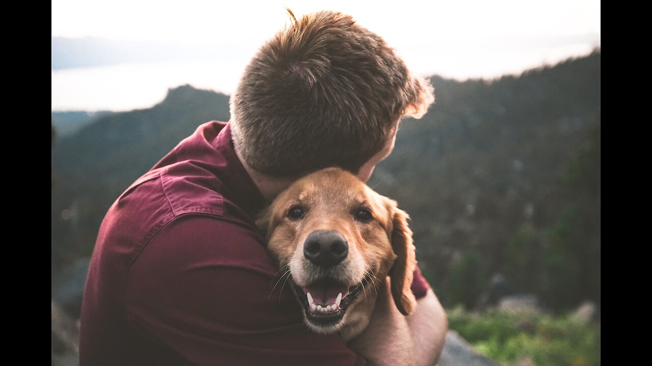 Huge DOG loves to give HUGE hugs!