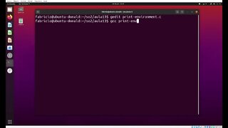 print-environment.c - Acessando as Variáveis de Ambiente de um Processo no Linux