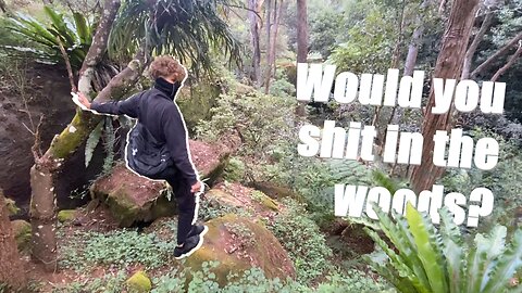 What can we find in this shitty lil forest?