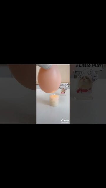 Penguinstok - Pagando mais que Tiktok e Kwai - precisa do código de referencia