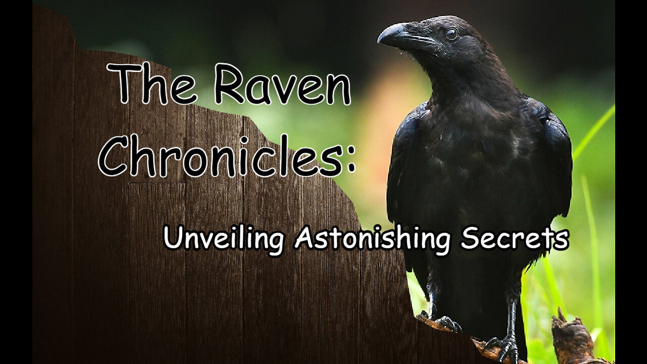 The Raven Chronicles Unveiling Astonishing Secrets
