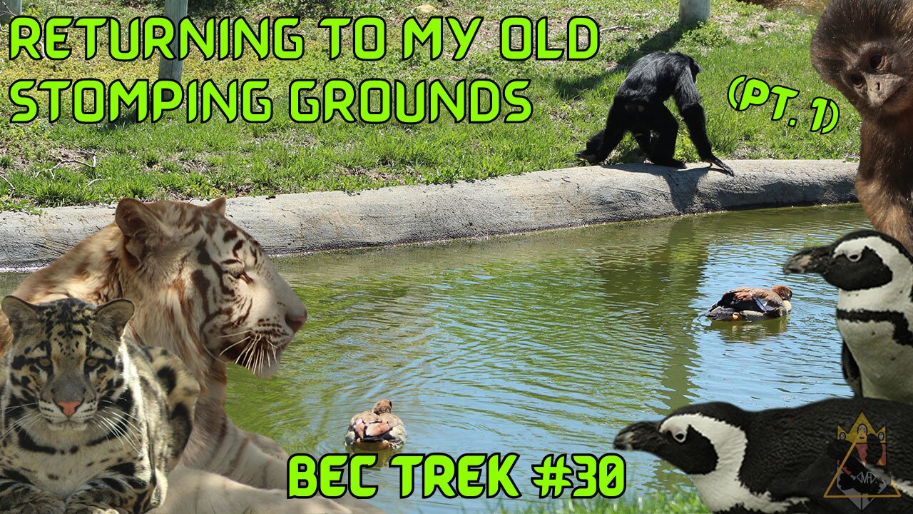 RETURNING to Tanganyika Wildlife Park | WHAT ALL HAS CHANGED!? | BEC TREK Episode 29