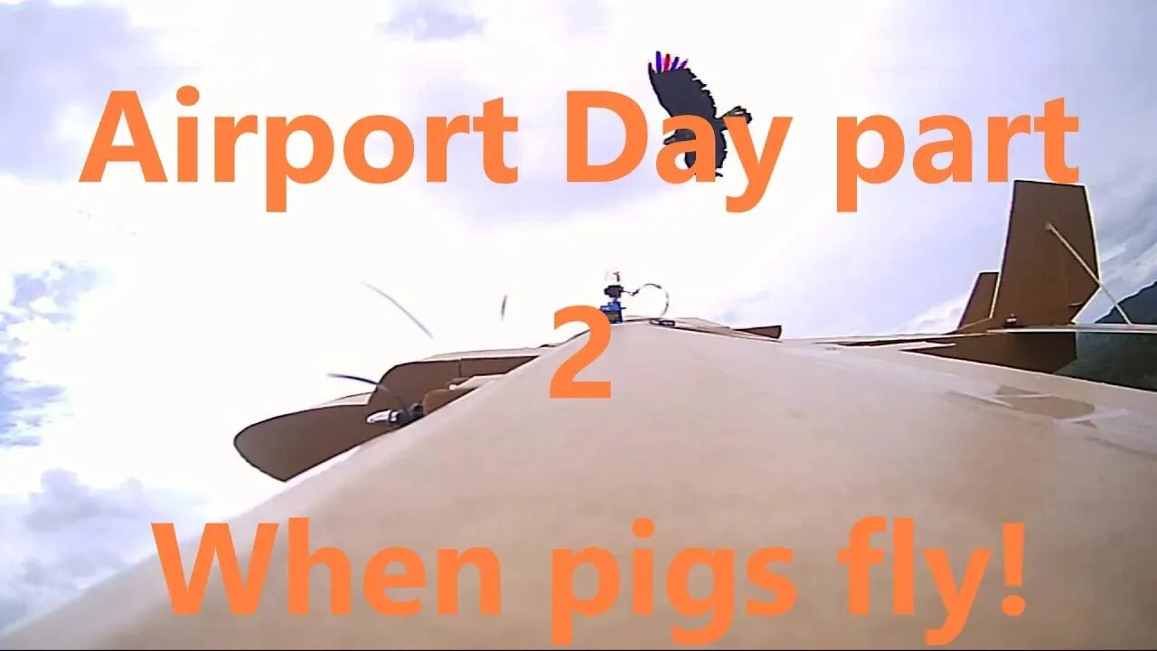 R/C 64: Airport day part 2 (When pigs fly!)