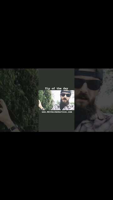 Tip of the day! Natural barriers...lets talk about it.