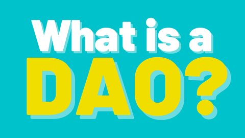 What is a DAO?